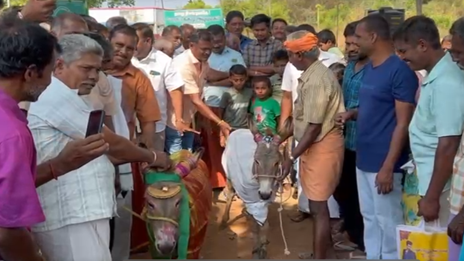 Donkey Marriage, Coimbatore: Donkeys get married for rain!  - marriage for donkeys held in coimbatore-oneindia news