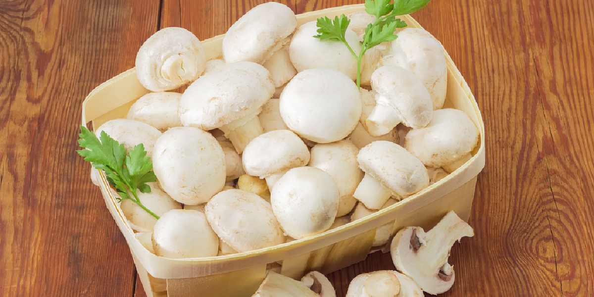 How to make amazing tasting mushroom chukka?-oneindia news