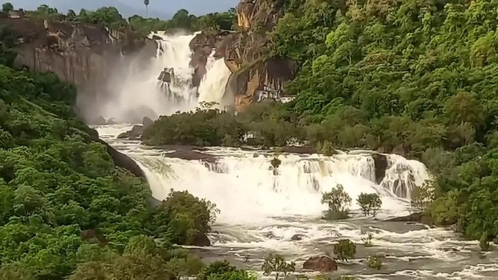 Agasthiyar Falls Tirunelveli, Summer Vacation Over: Tourists flock to Agasthiyar Falls!  - tourists throng agasthiyar falls at tirunelveli-oneindia news