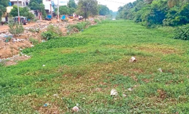 Public demand to dispose of the Agaitamarai surrounded by Cholavaram lake canal!-oneindia news