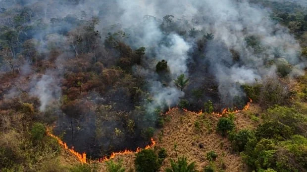 Wildfires burn in Pantanal wetlands-oneindia news