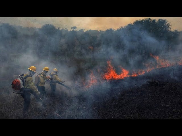 Wildfires burn in Pantanal wetlands-oneindia news