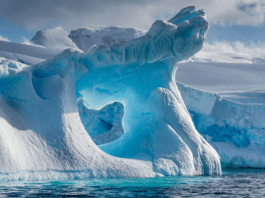 Best Tourist Spots In Antartica Do any of us know that there are places to visit in Antarctica?  - best places to visit in antartica-oneindia news